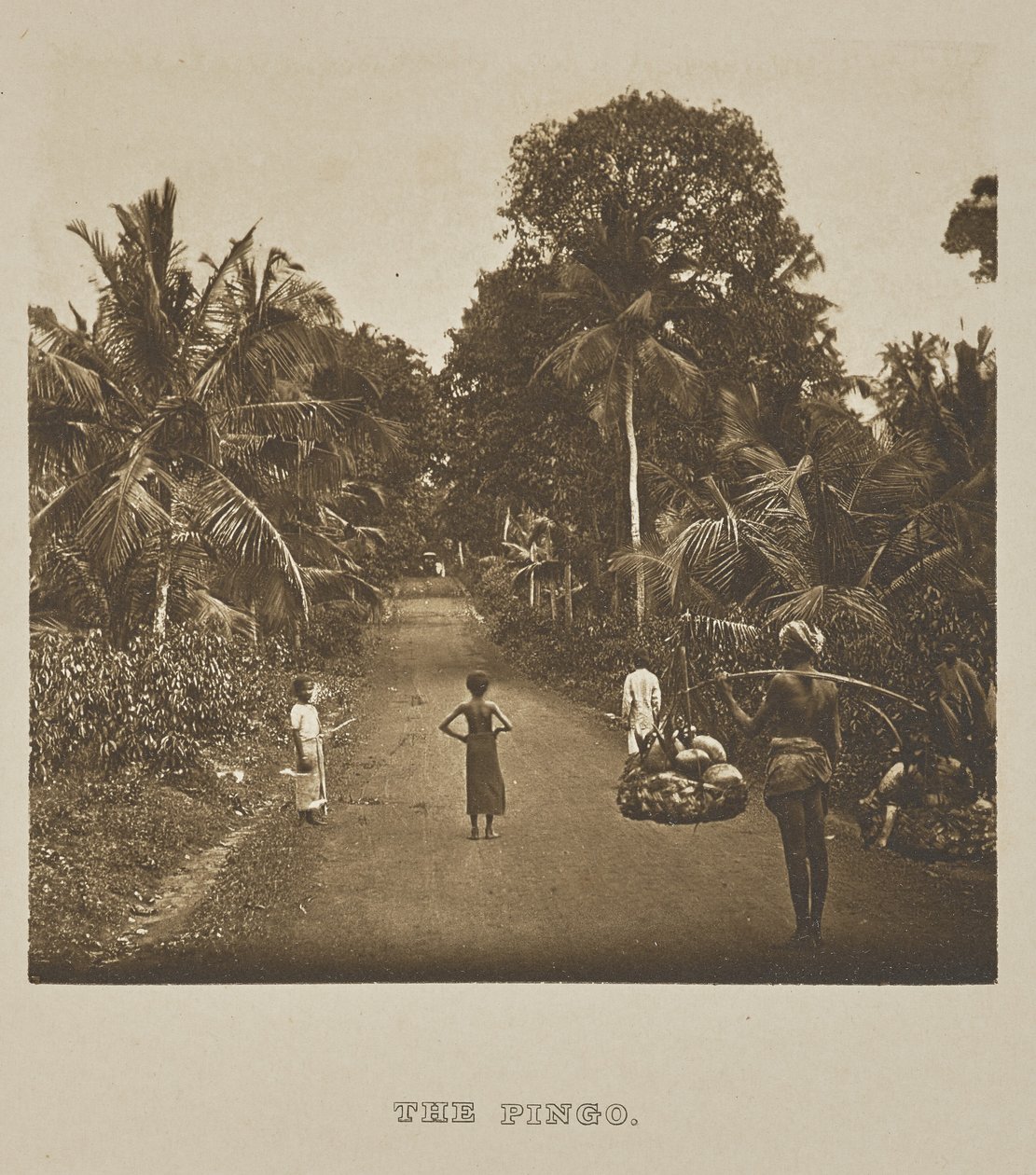  by Henry W. Cave