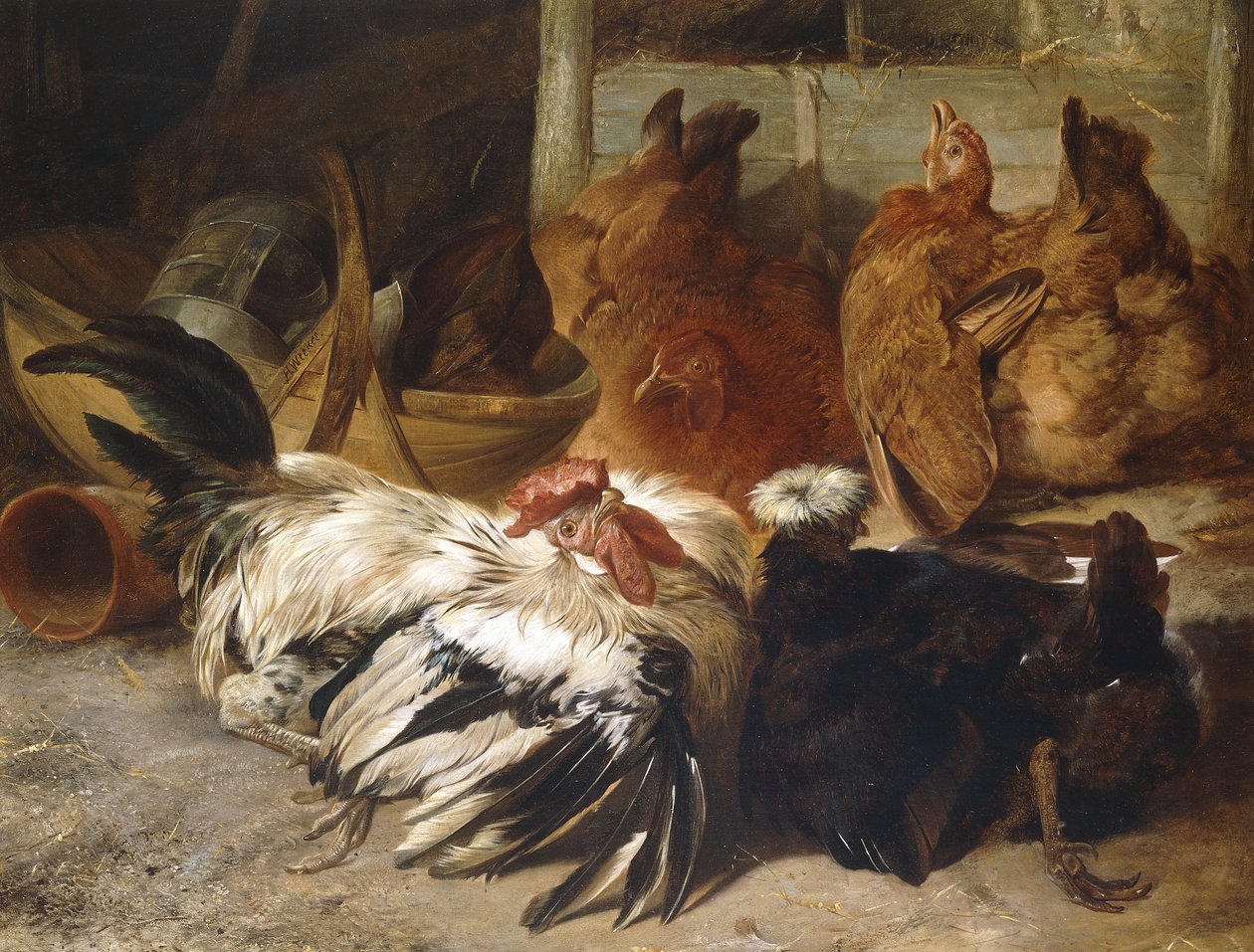 Gümüş-Gri Gül Peteği Sik ve Beyaz Tepeli Siyah Polonya, İki Buff Tavuklu, by Henry Weekes