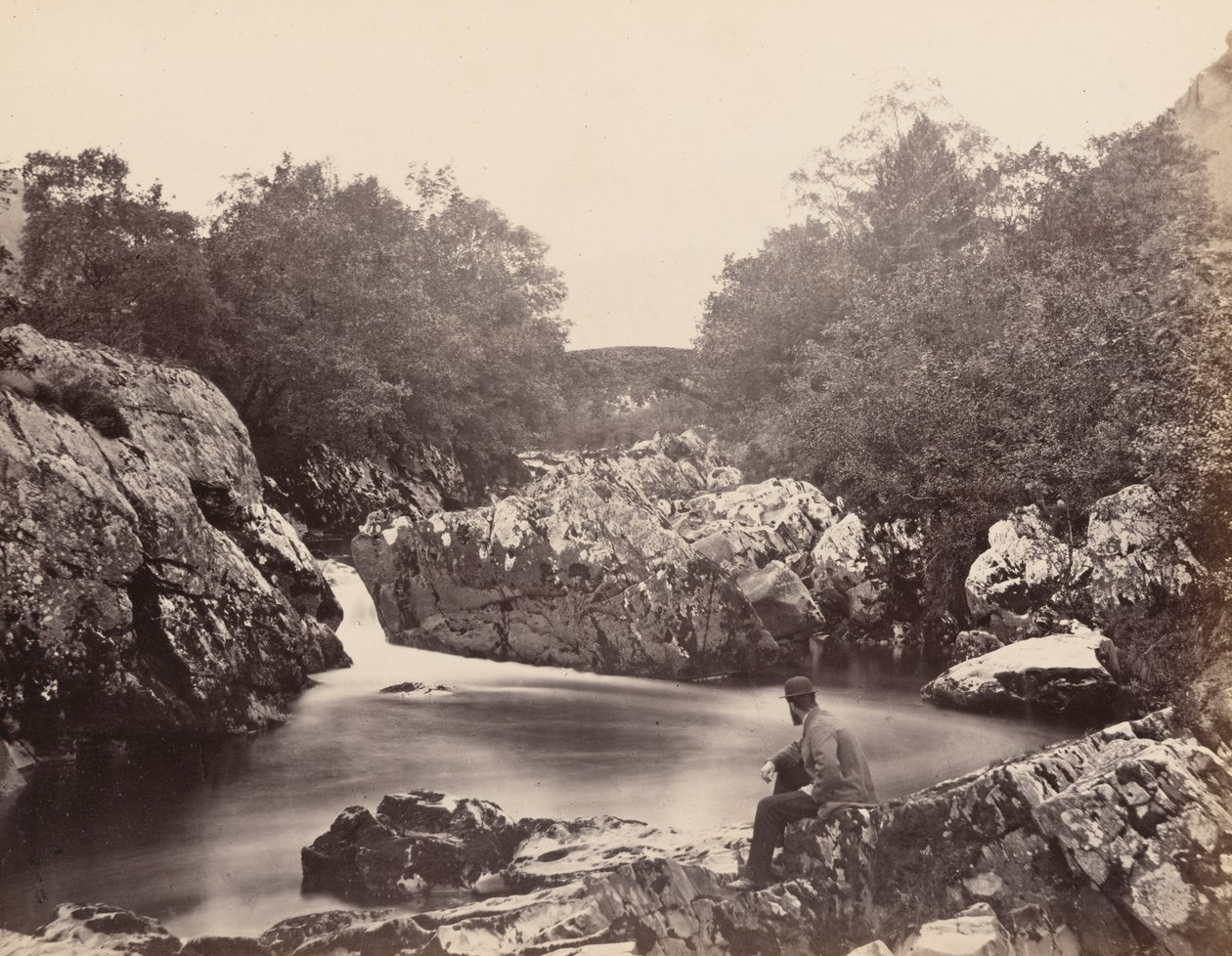  by Henry White