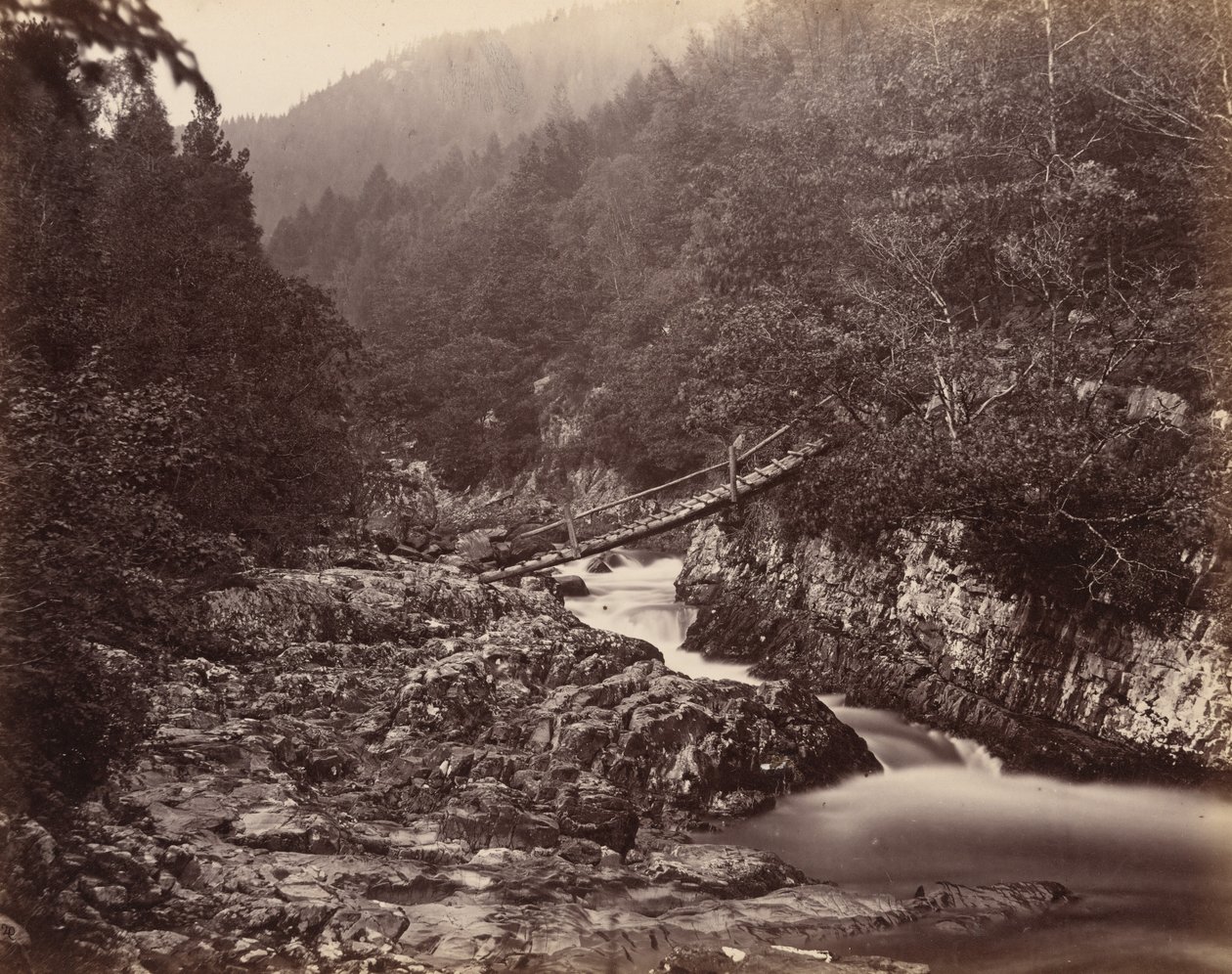  by Henry White
