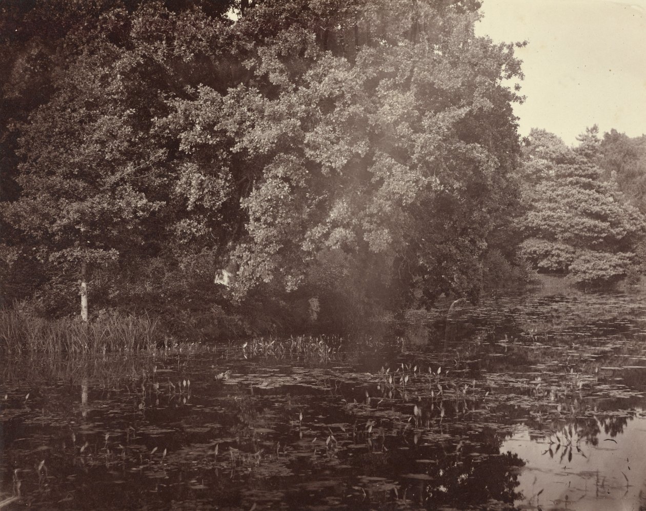  by Henry White