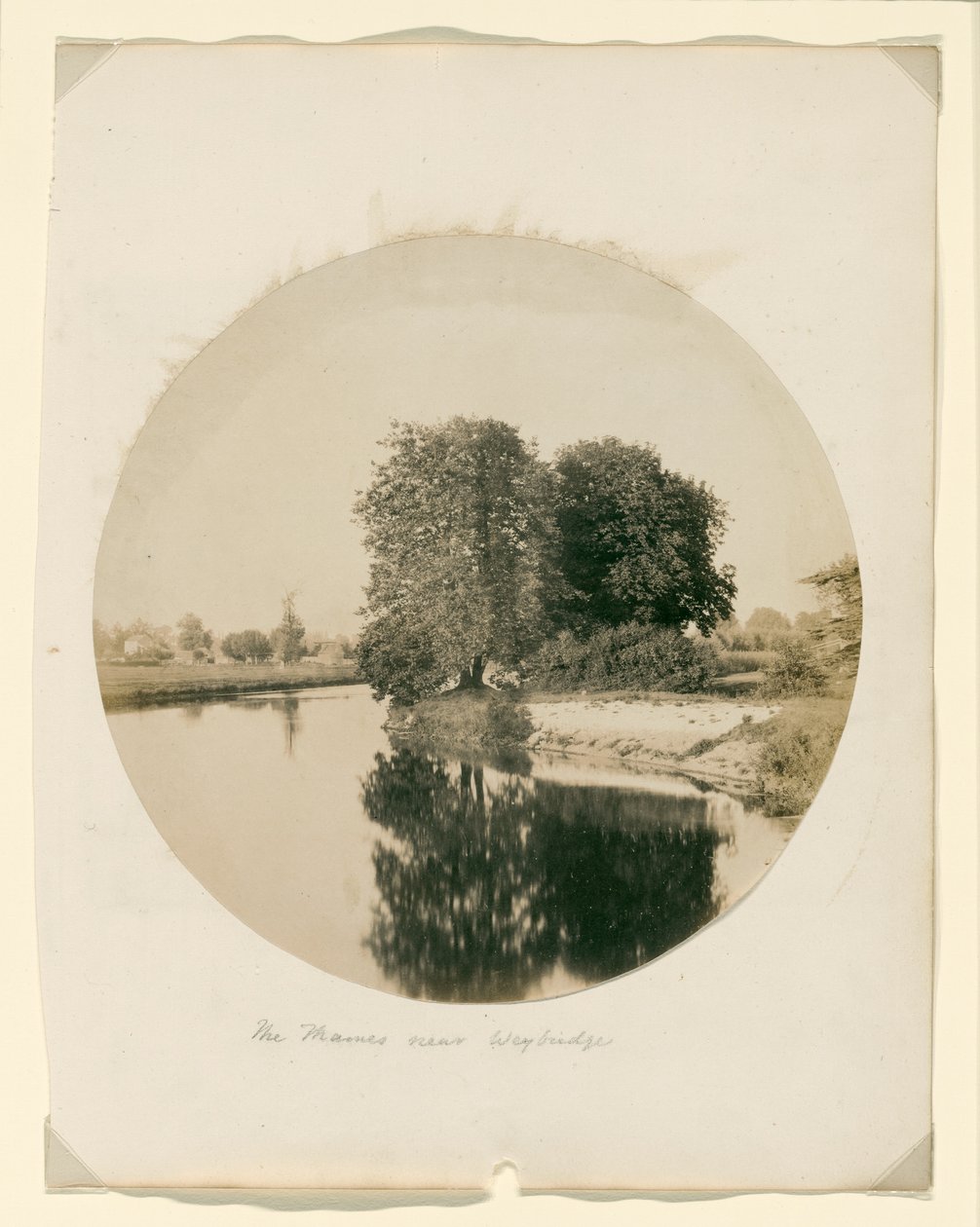  by Henry White