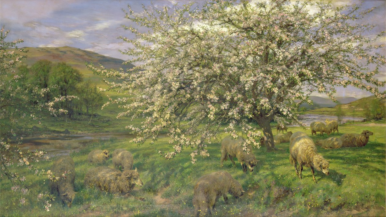 Bilinmeyen resim by Henry William Banks Davis