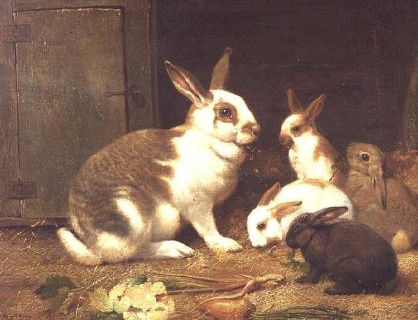tavşan besleme by Henry William Carter