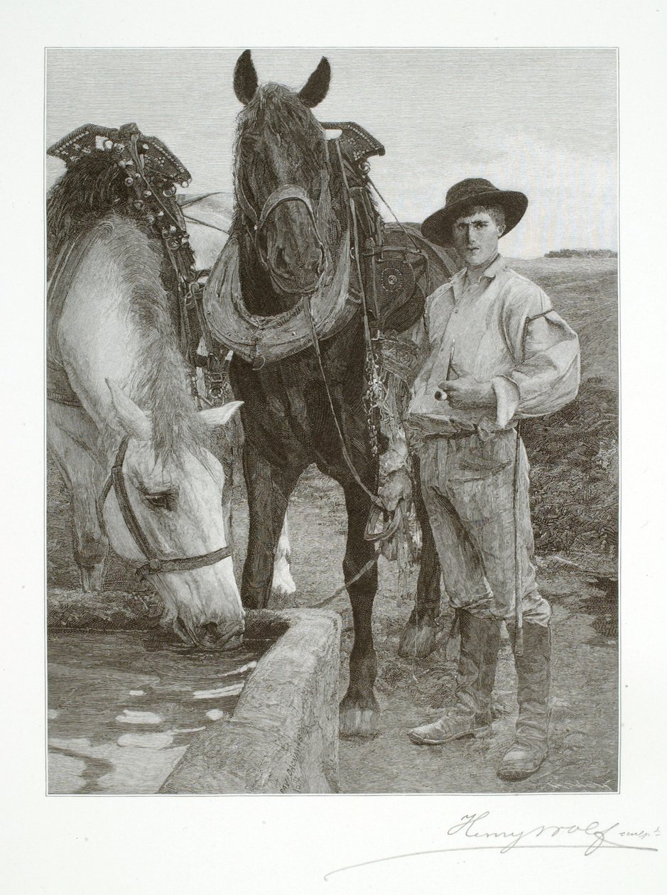  by Henry Wolf