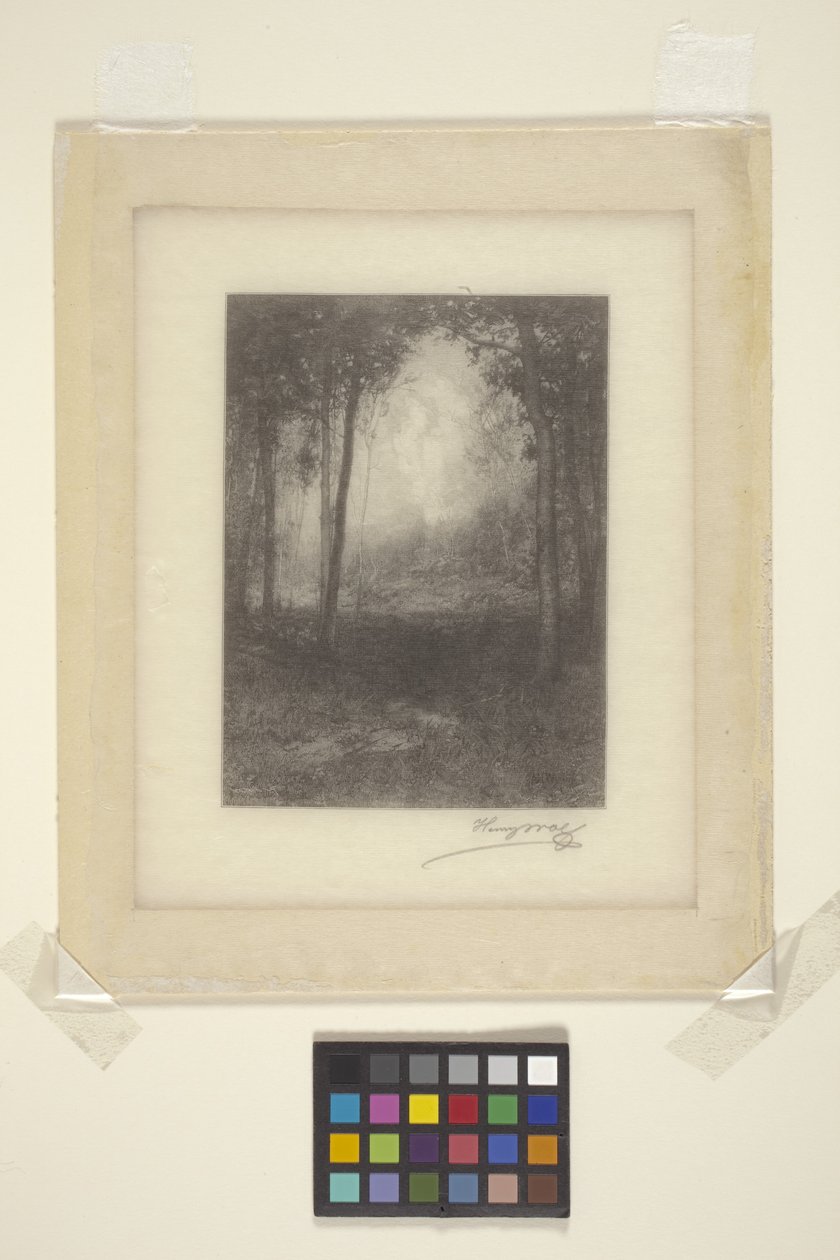 Adirondacks'ta (mürekkep) by Henry Wolf