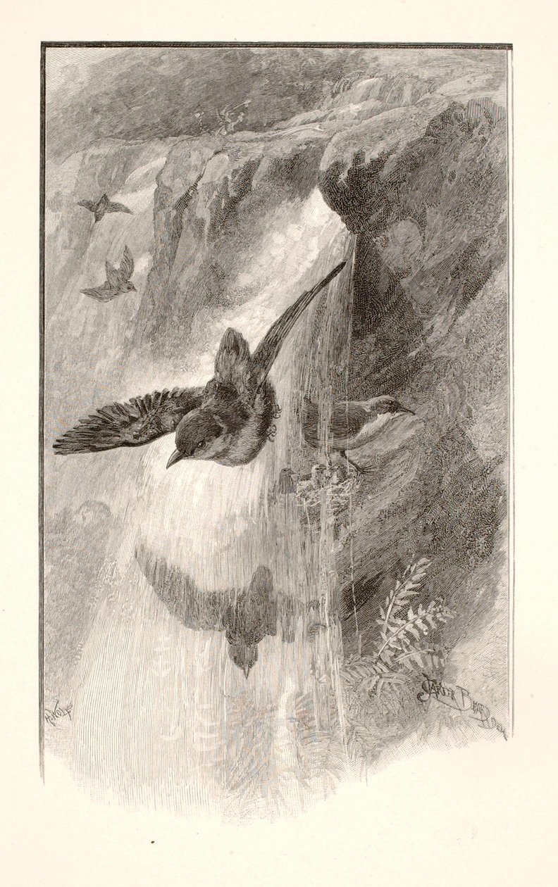  by Henry Wolf
