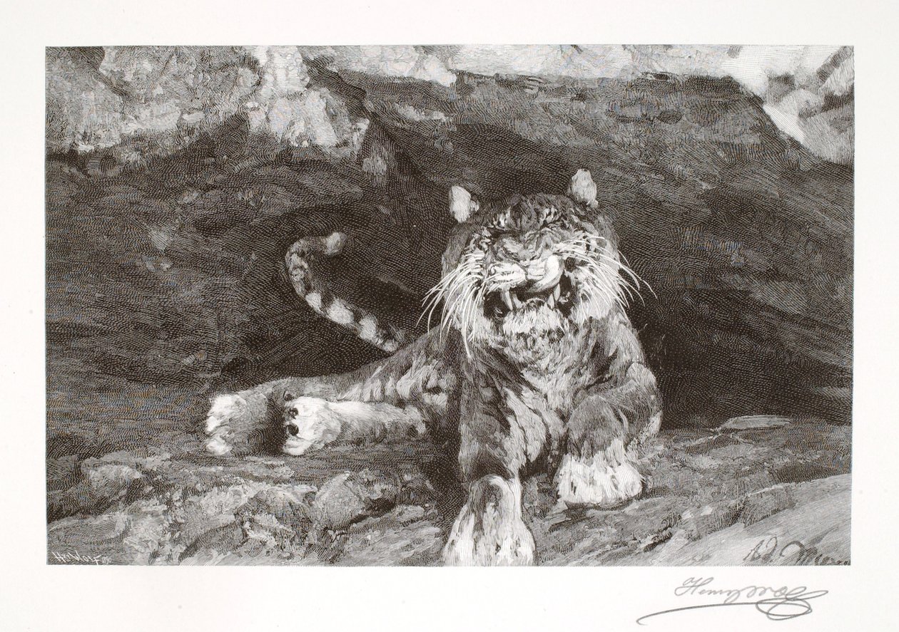 by Henry Wolf