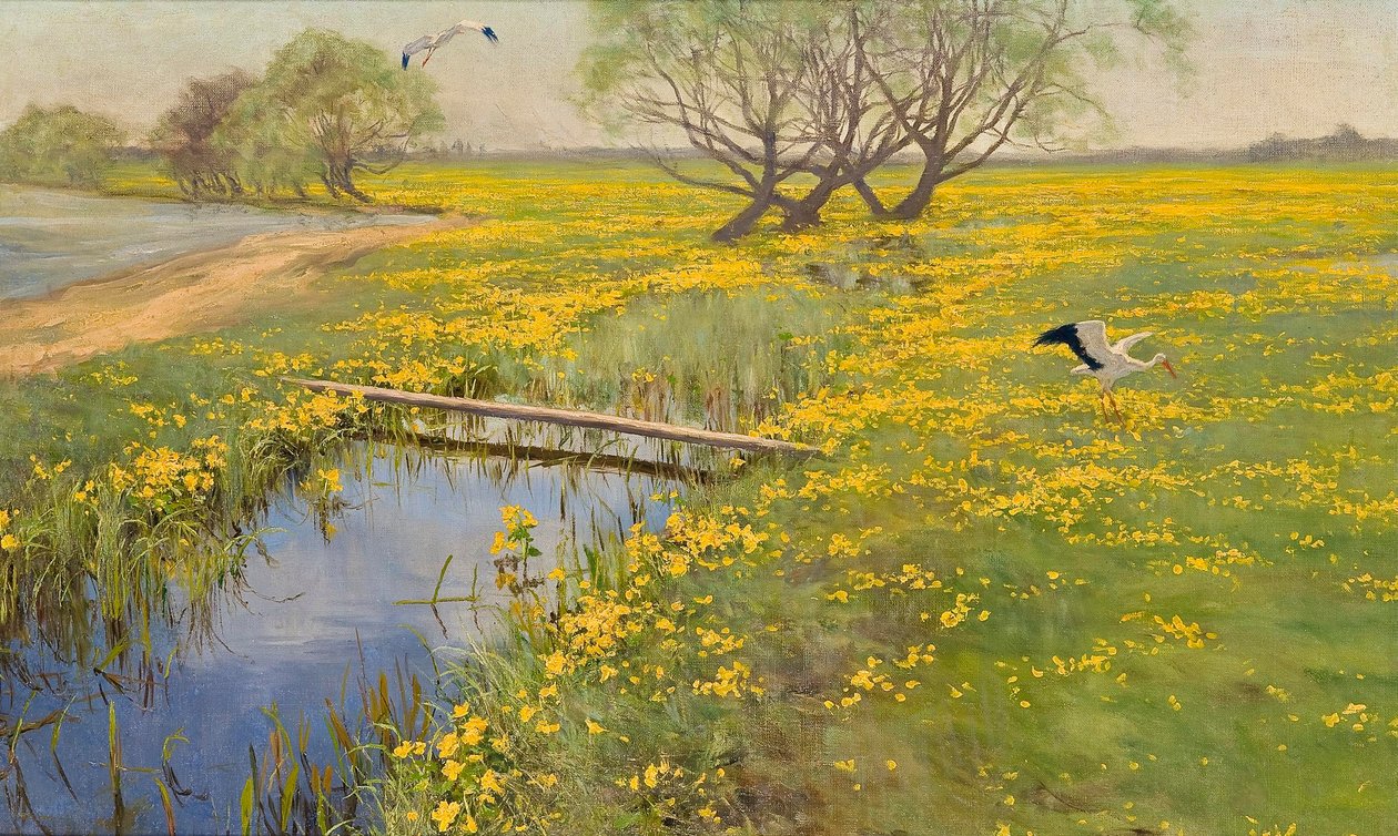  by Henryk Weyssenhoff