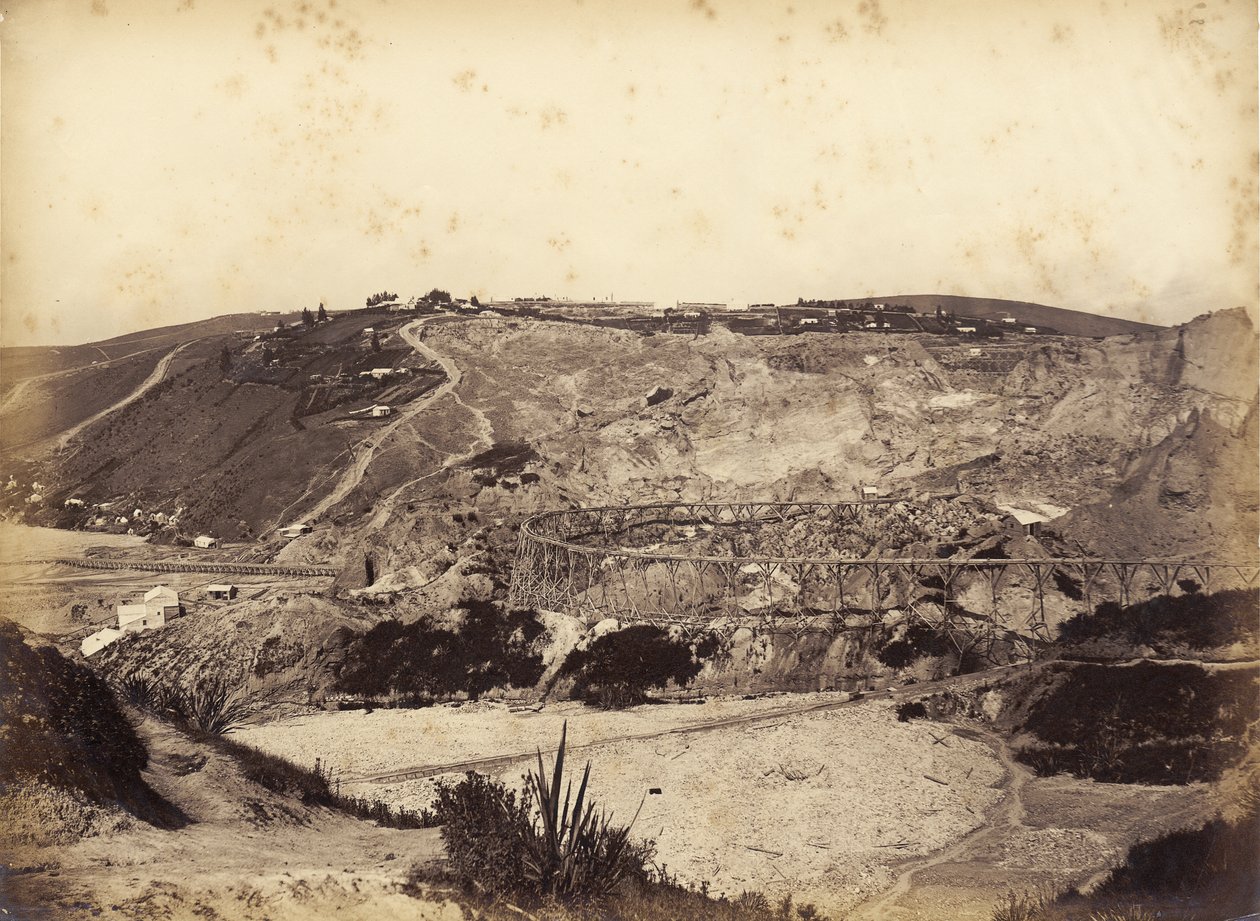 Blue Spur, 1870'lerin ortası (albüm baskısı) by Herbert Deveril