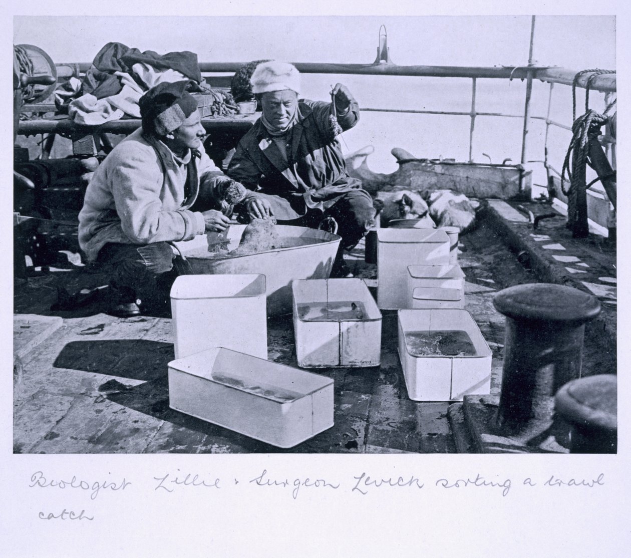 Biyolog Lillie ve Cerrah Levick, 