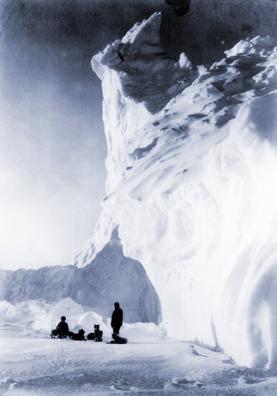 Terra Nova Seferi sırasında dinlenen köpek takımı, 1910 by Herbert Ponting