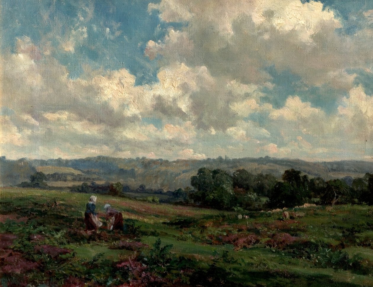 Surrey