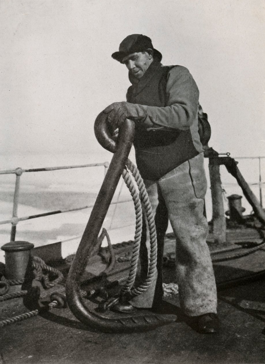A.B. Cheetham, Terra Nova
