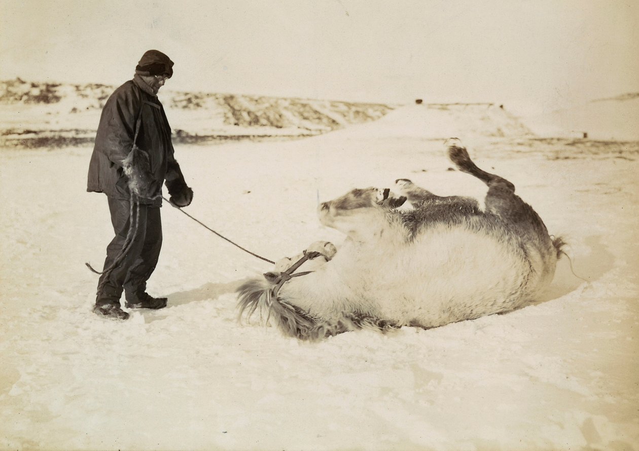  by Herbert Ponting