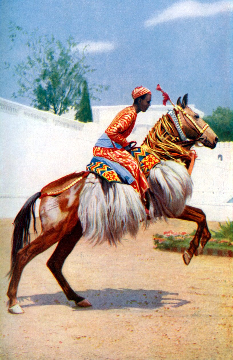 Dans eden Arap atı, Udaipur, Hindistan, 1922. by Herbert Ponting