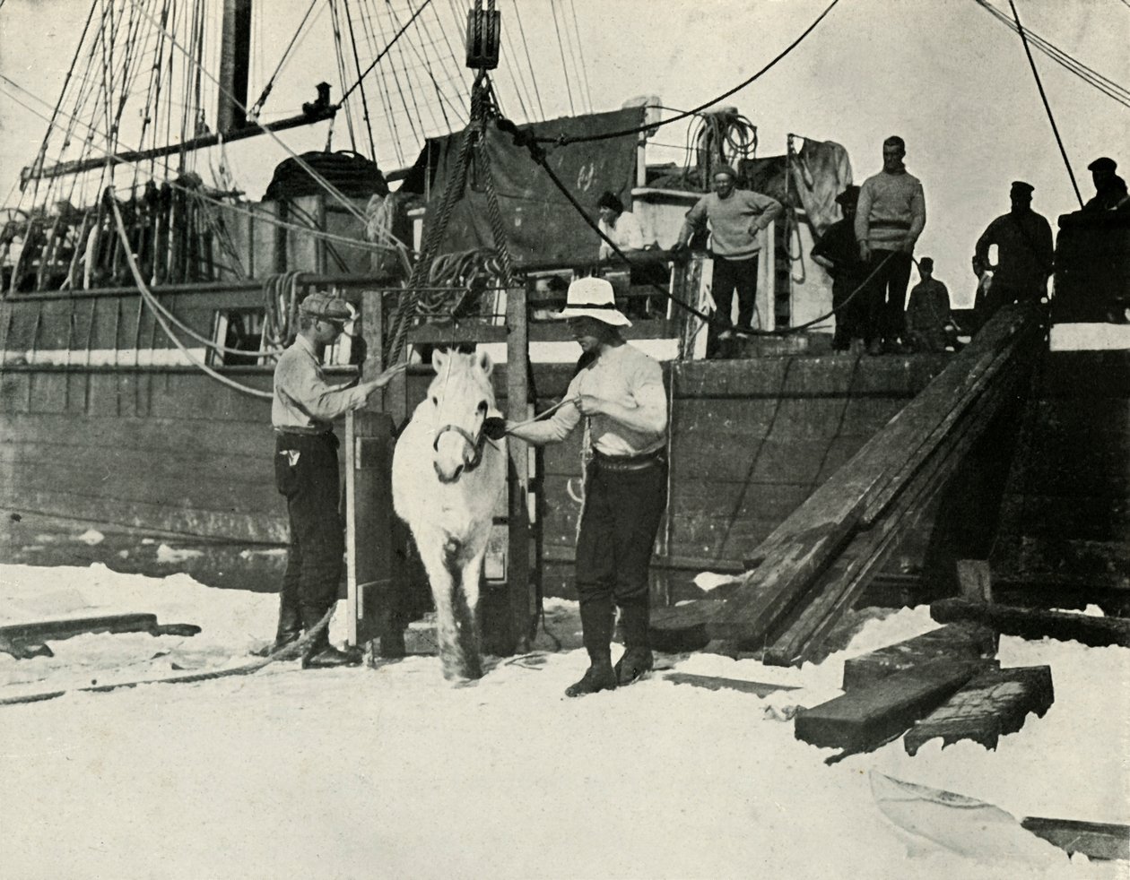 Midillilerin Karaya Çıkarılması, c19101913, 1913 by Herbert Ponting