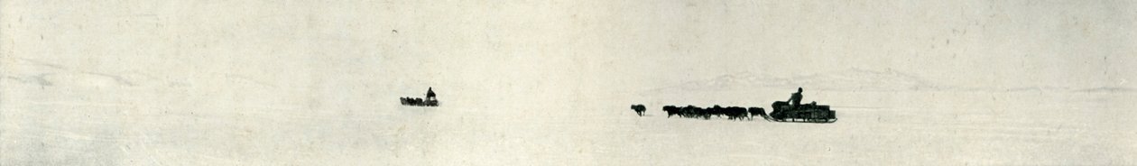 Bariyere Doğru Dörtnala Giden Köpekler, c1911, 1913 by Herbert Ponting