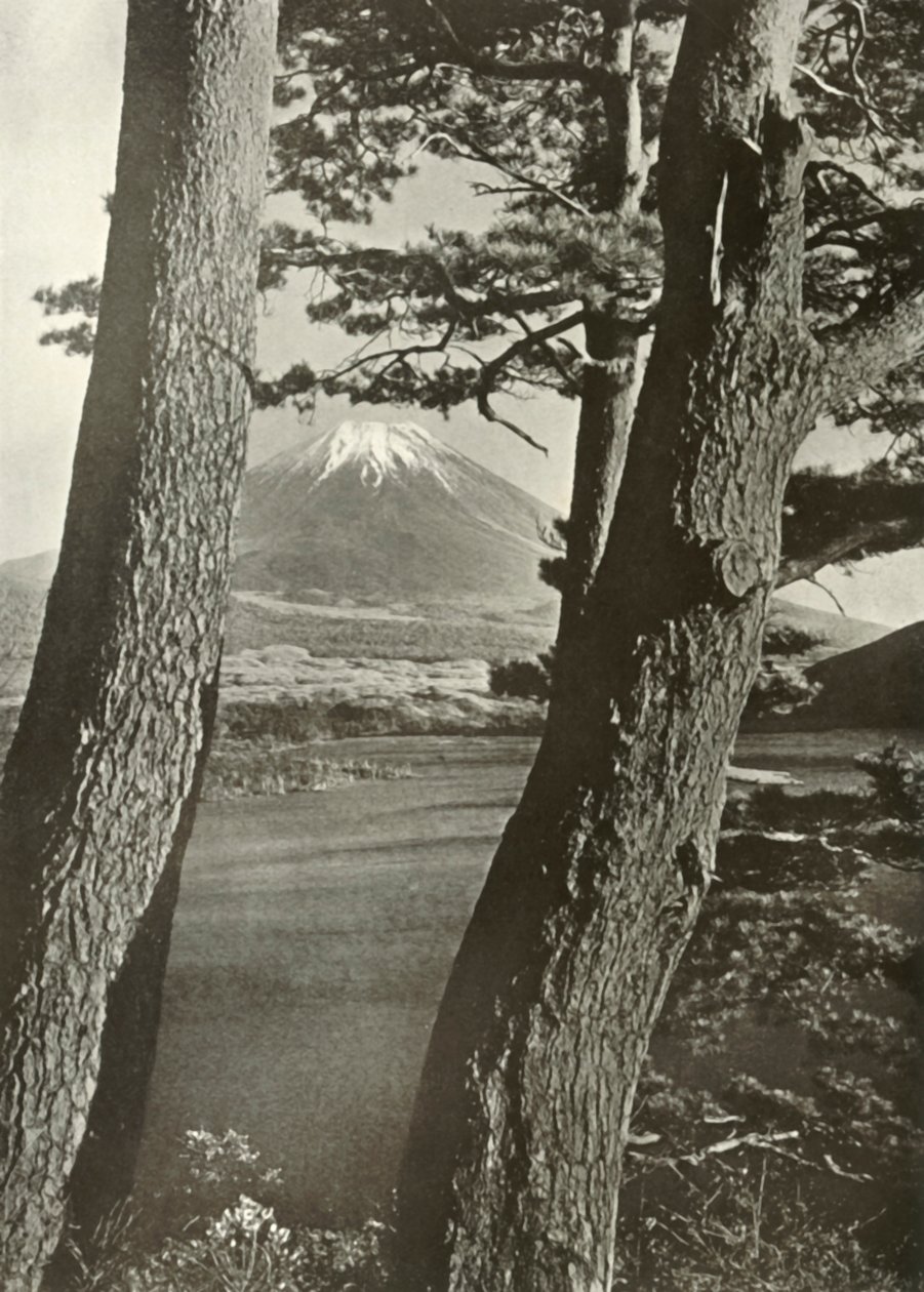 Motosu Gölü Çamlarının Arasında Fuji, 1910. by Herbert Ponting