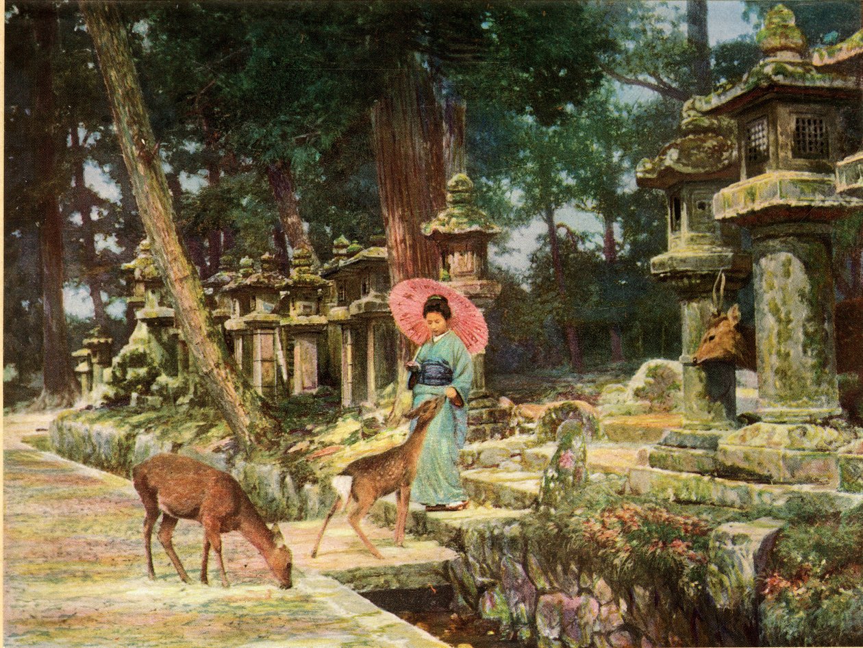 Nara, Eski Japonya