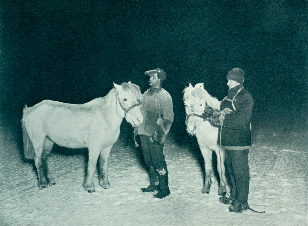 Astsubaylar Crean ve Evans Kışın Midillileriyle Egzersiz Yaparken, 1911, 1913 by Herbert Ponting
