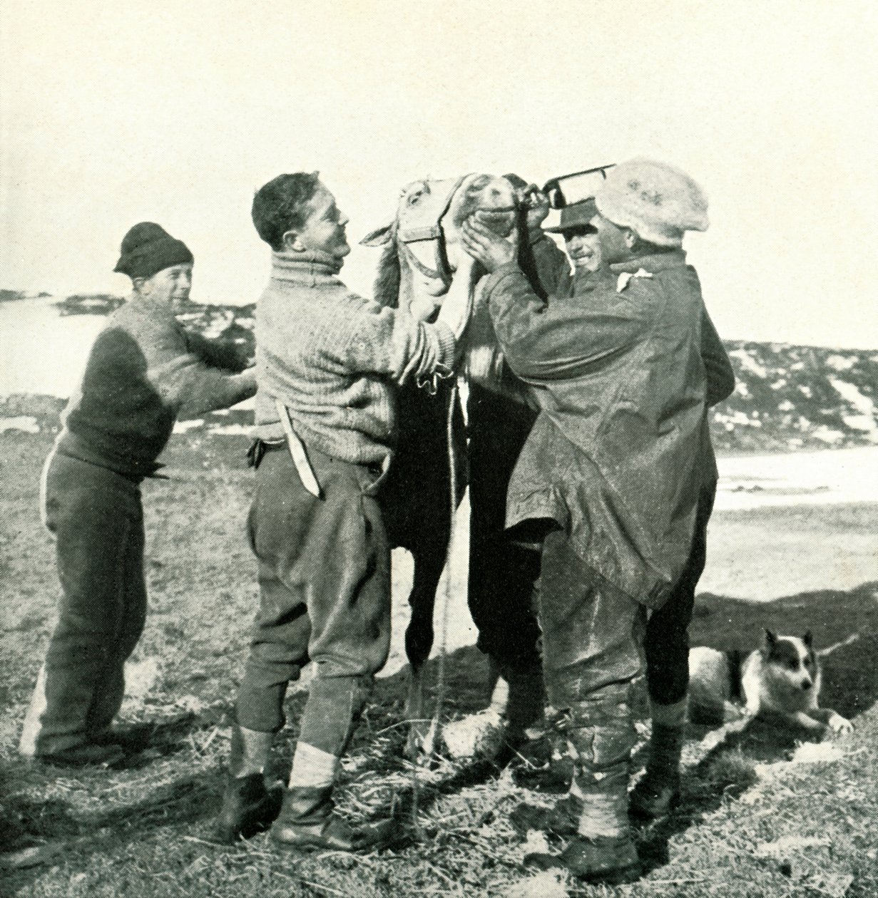 Midilli Viski Alır, 8 Şubat 1911, 1913 by Herbert Ponting