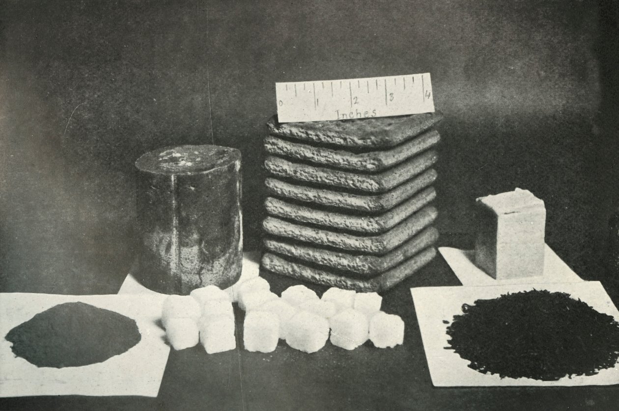 Kutup Partileri Kızak Rasyonu Pemmican, bisküvi, tereyağı, kakao, şeker ve çay, 1911, 1913 by Herbert Ponting