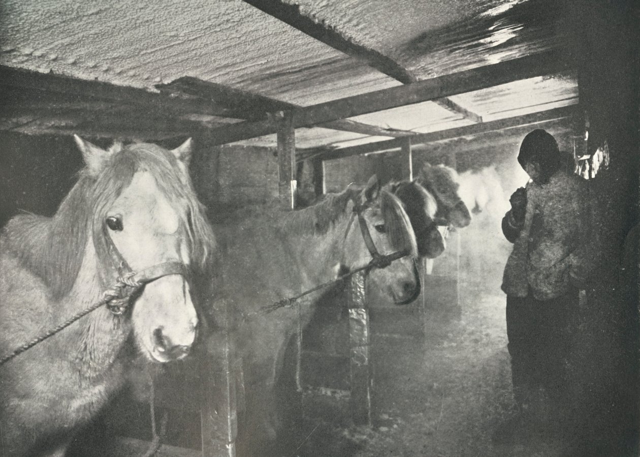 Kışın Ahırlar, c19101911, 1913 by Herbert Ponting