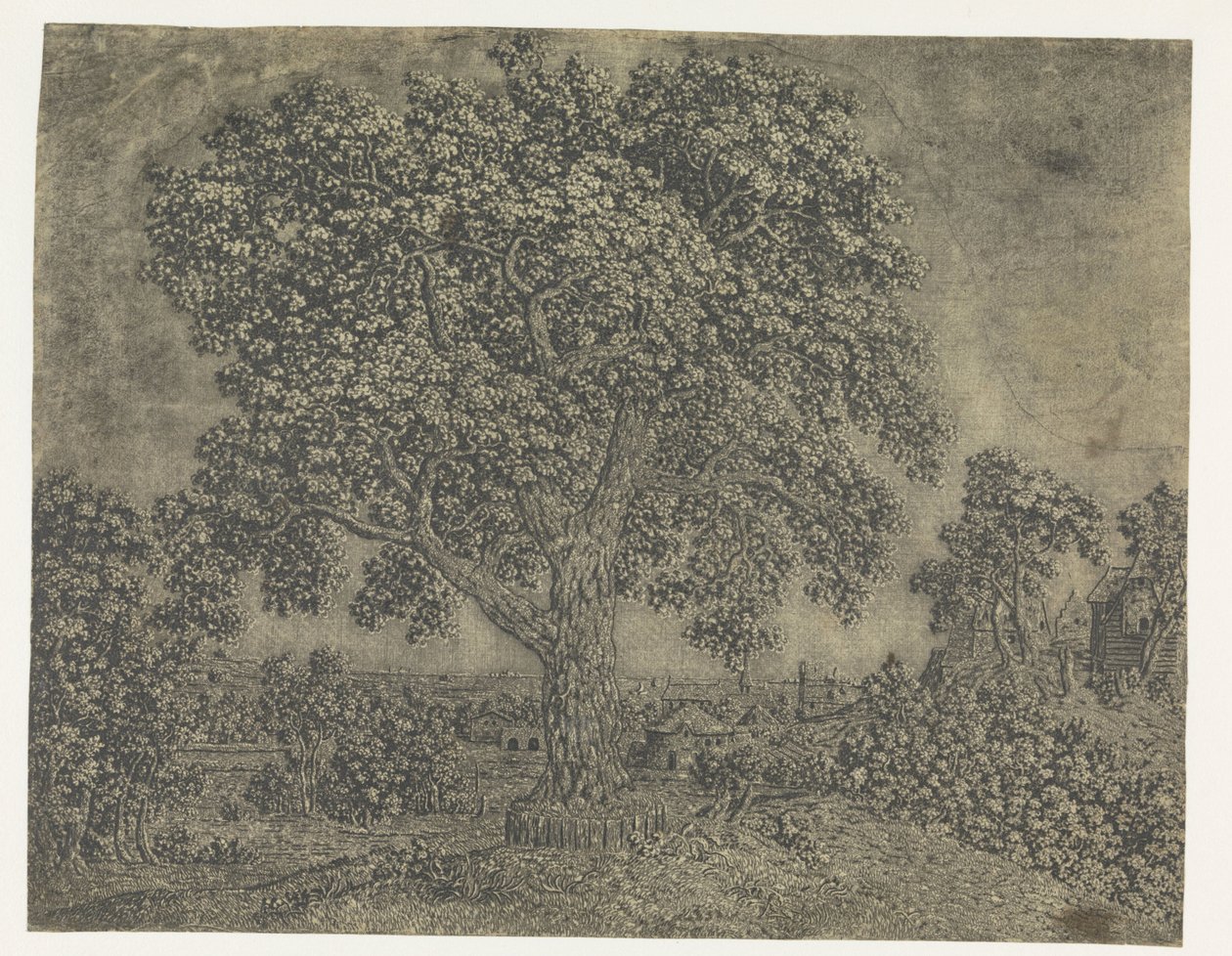 Büyük Ağaç by Hercules Segers