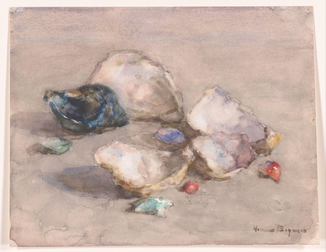 Sahildeki kabuklar by Herman Bogman (signed by artist)