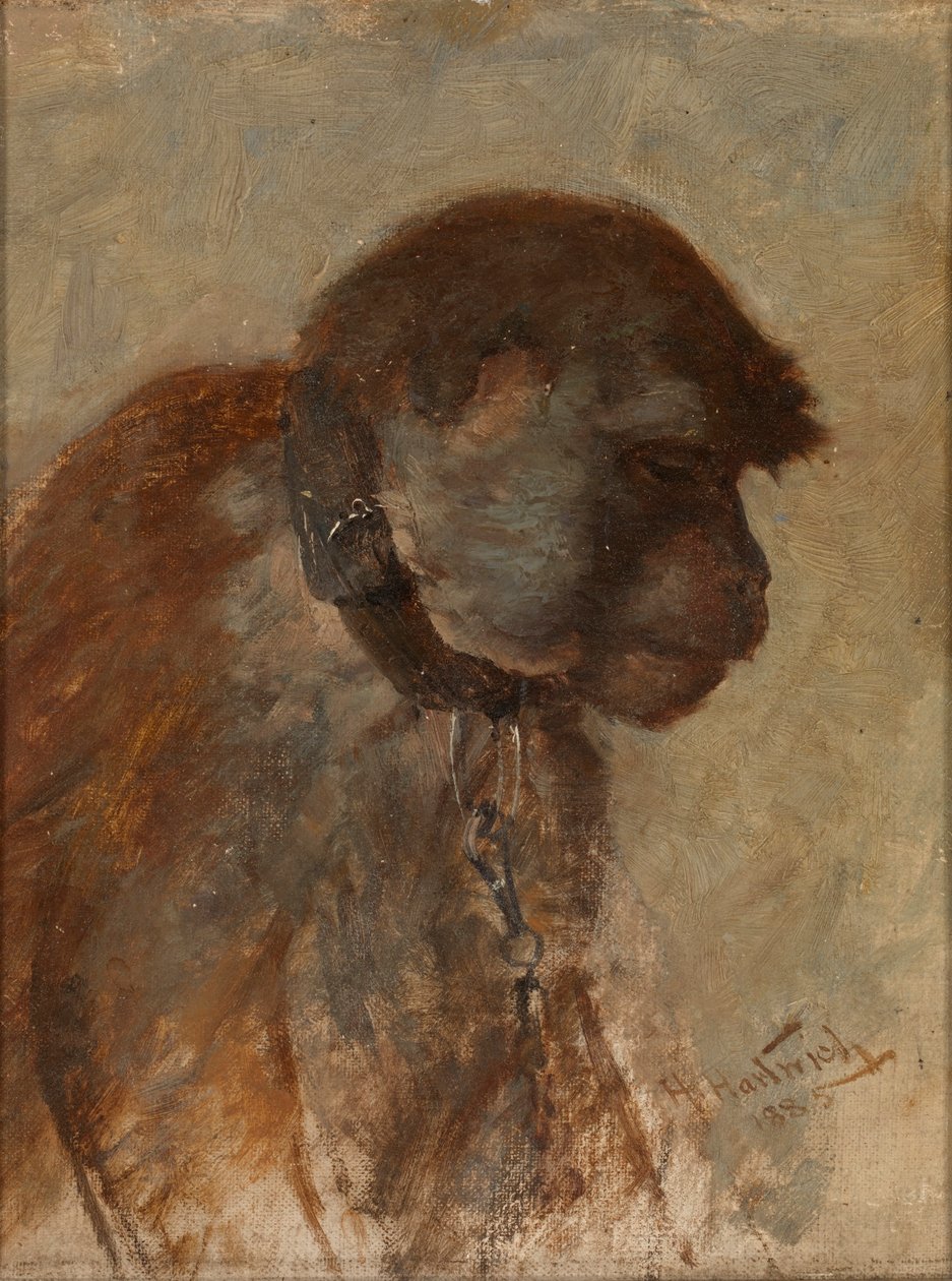  by Herman Hartwich