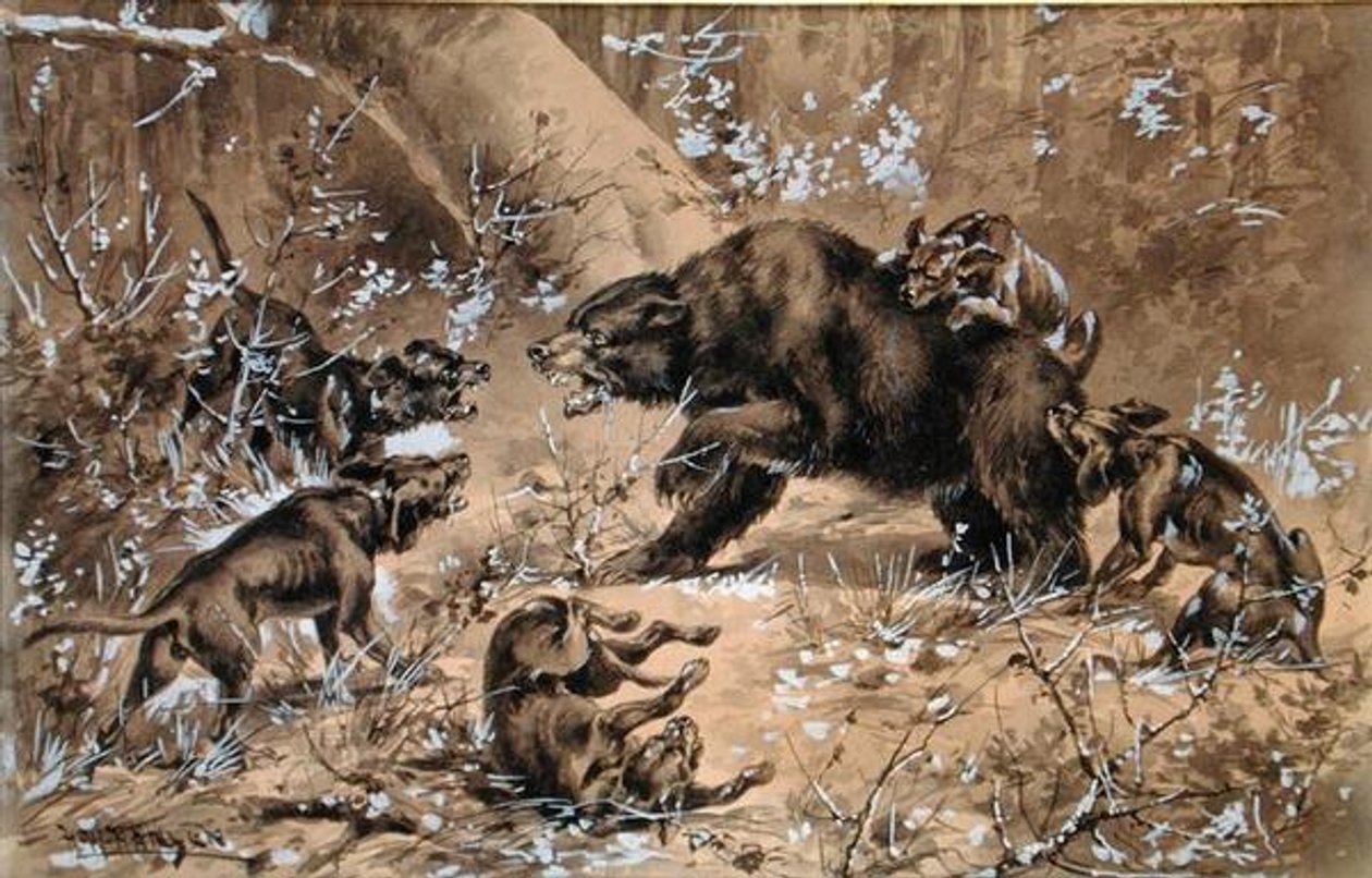 Ayı Avı (kağıt üzerine suluboya ve çin beyazı) by Herman Wendleborg Hansen