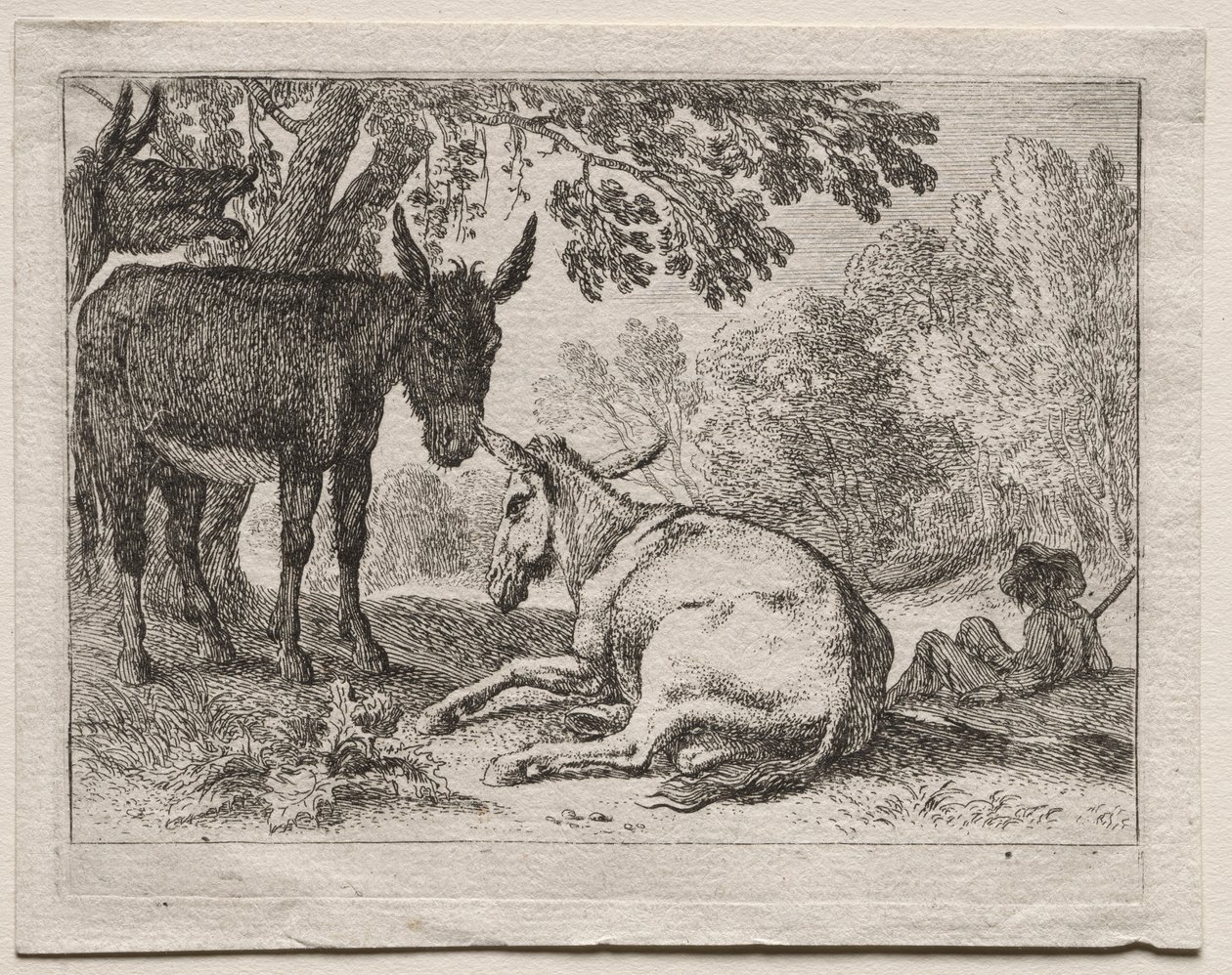 Manzaralardaki Hayvanlar: Eşekler by Herman van Swanevelt