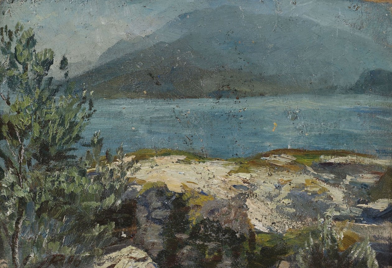 Yaz göl kenarı by Hermann Pleuer