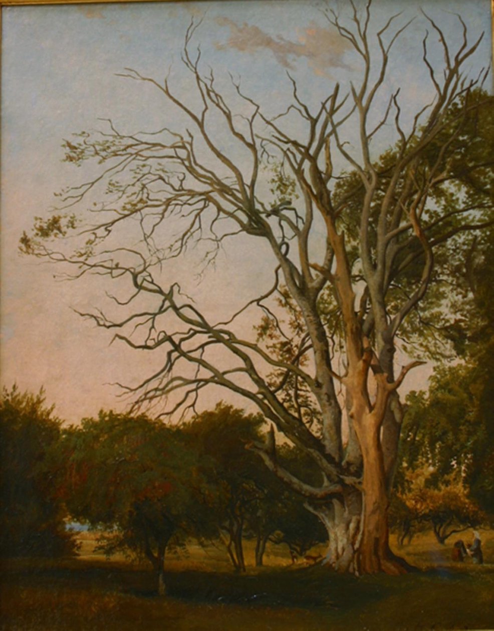 Ölü Bir Ağaç ile Orman Sahnesi by Hermann Carmiencke