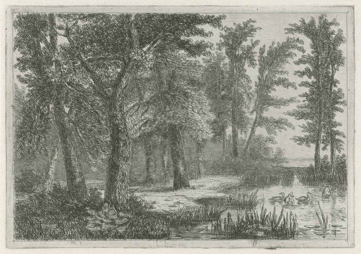 Ördekler ile bir fen ile orman manzarası by Hermanus Jan Hendrik van Rijkelijkhuysen