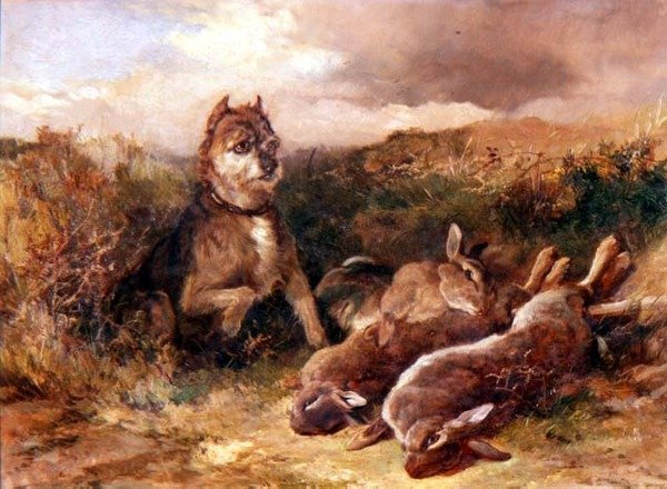 Oyunlu West Country Terrier by Heywood Hardy