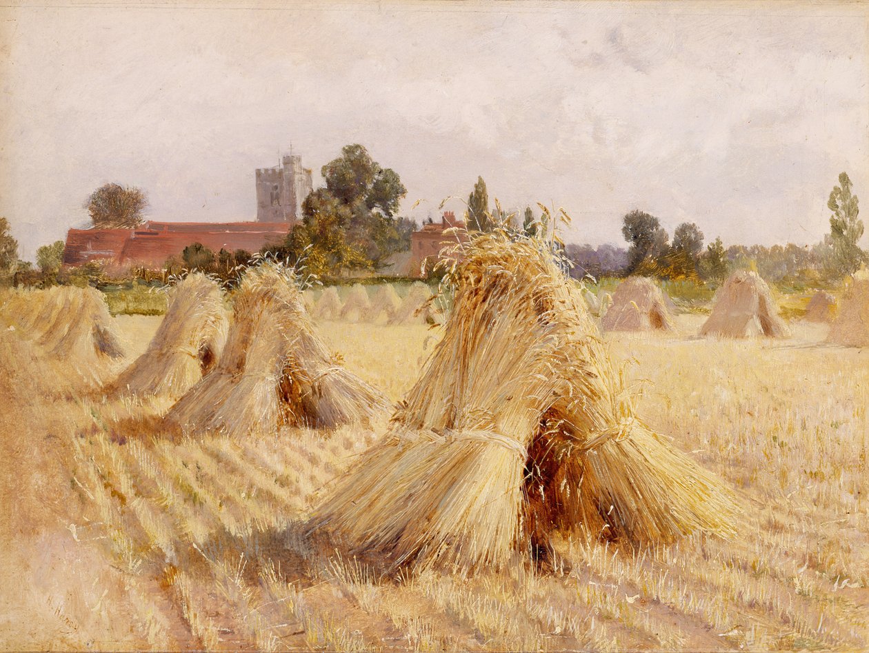 Corn Stooks, Bray Church, 1872 (gemiye serilmiş kağıt üzerine yağlı boya) by Heywood Hardy