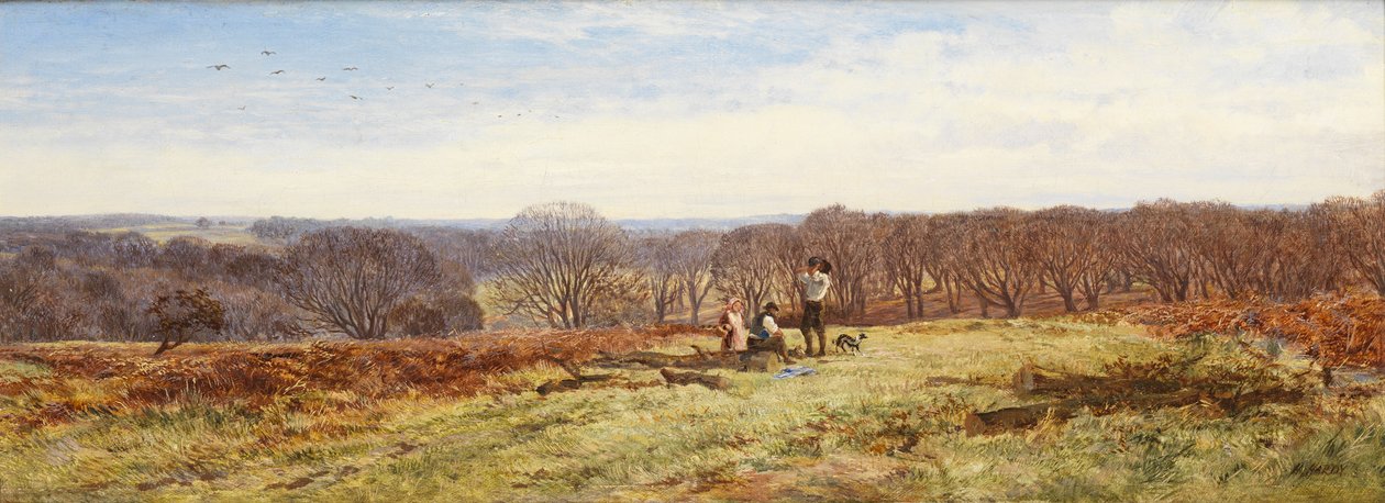 New Forest, Hampshire
