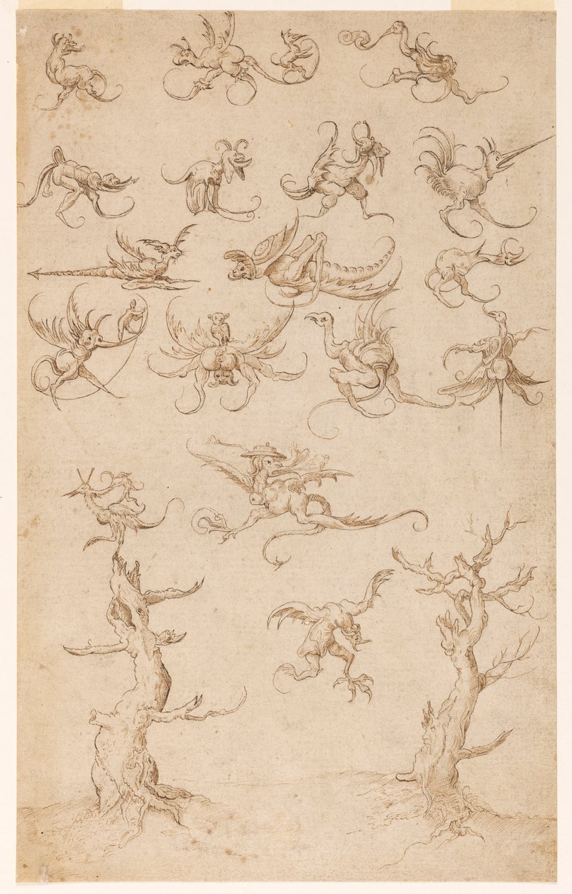 grotesk by Hieronymous Bosch