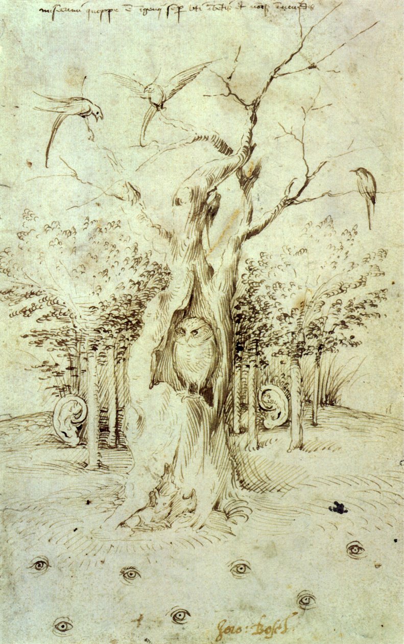 Duyan orman ve gören tarla by Hieronymus Bosch