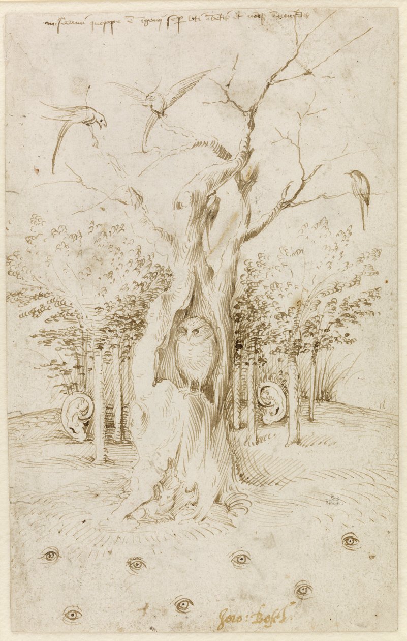 Odun Kulakları Vardır, Tarlanın Gözleri Par Bosch, Hieronymus (c. 1450-1516). Kalem, kağıt üzerine kahverengi Hint mürekkebi, boyut : 20,2x12,7, c. 1500-1515, Staatliche Müzesi, Berlin by Hieronymus Bosch