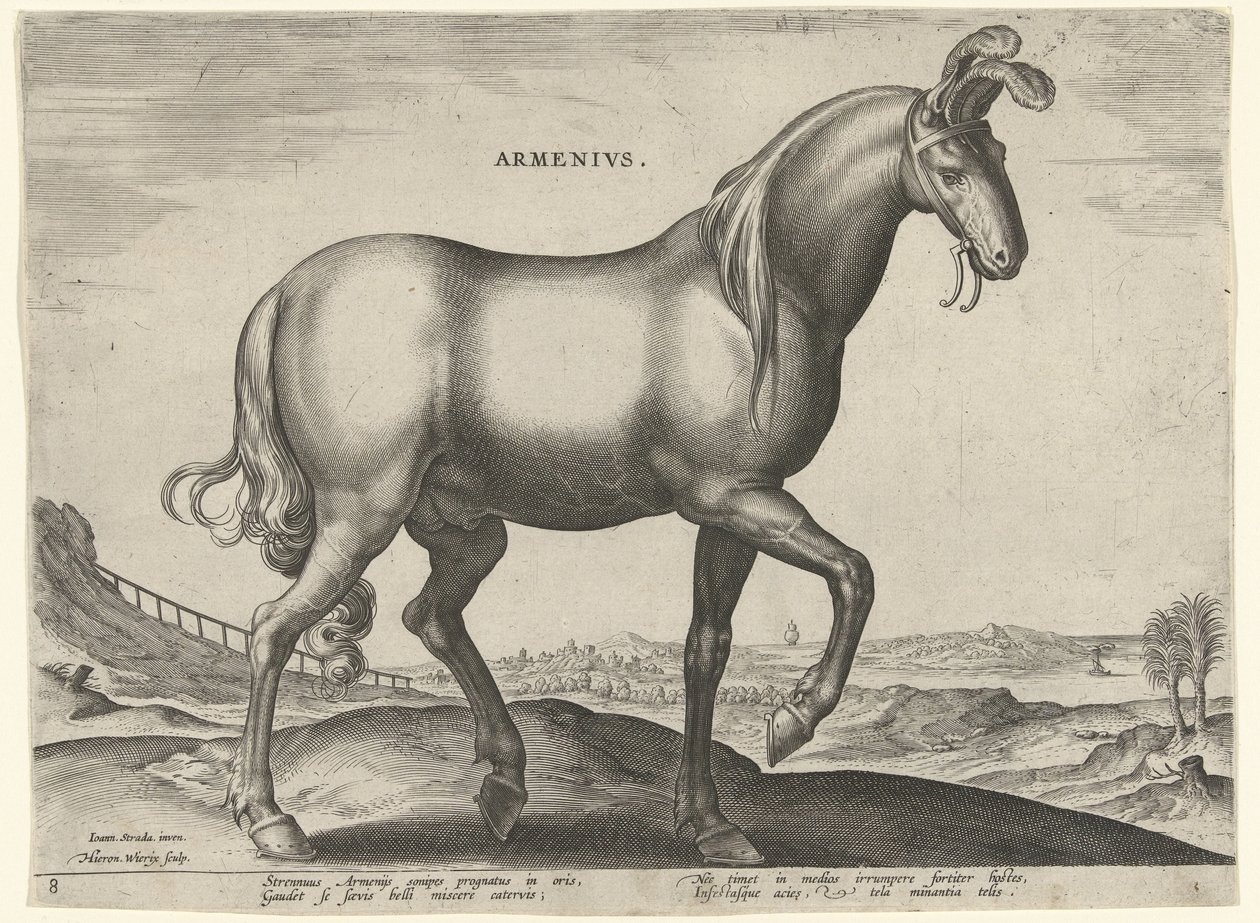 Ermenistan