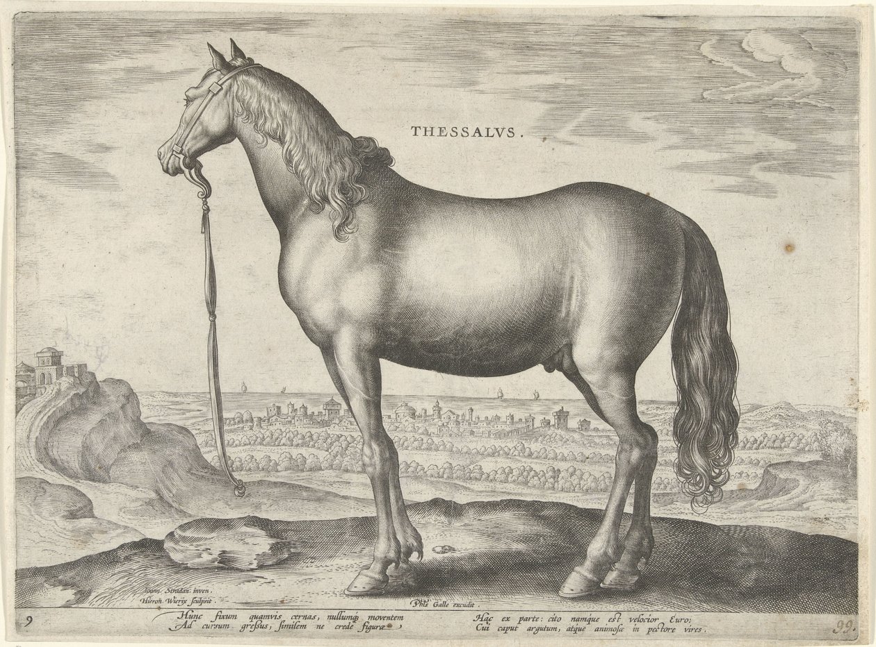 Thessaly'den (Thessalus) Thessalvs (nesne üzerinde başlık) Avusturya'nın Don Juan Kraliyet Ahırlarından at ırkları (seri başlığı) Equile Ioannis Austriaci Caroli (seri başlığı) by Hieronymus Wierix