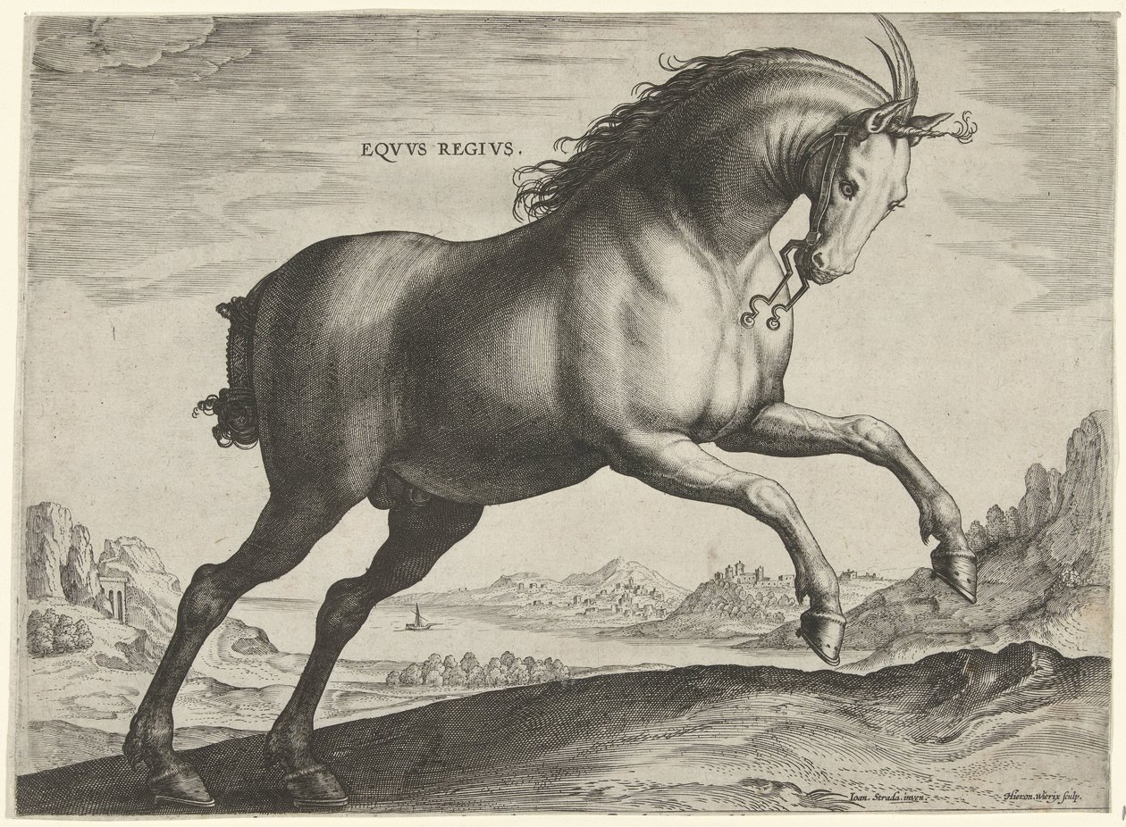 Equus Regius (Kraliyet) cinsinin atı Eqvvs Regivs (nesne üzerindeki başlık) Avusturya Don Juan Kraliyet Ahırlarından At Irkları (seri başlığı) Equile Ioannis Austriaci Caroli (dizi adı) by Hieronymus Wierix