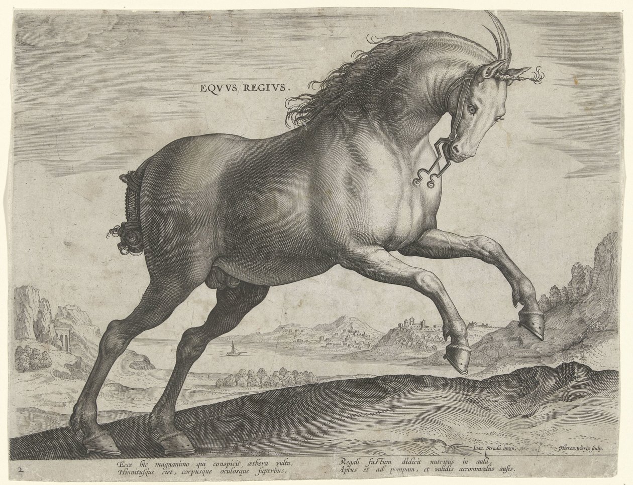 Equus Regius (Kraliyet) cinsinin atı Eqvvs Regivs (nesne üzerindeki başlık) Avusturya Don Juan Kraliyet Ahırlarından At Irkları (seri başlığı) Equile Ioannis Austriaci Caroli (dizi adı) by Hieronymus Wierix