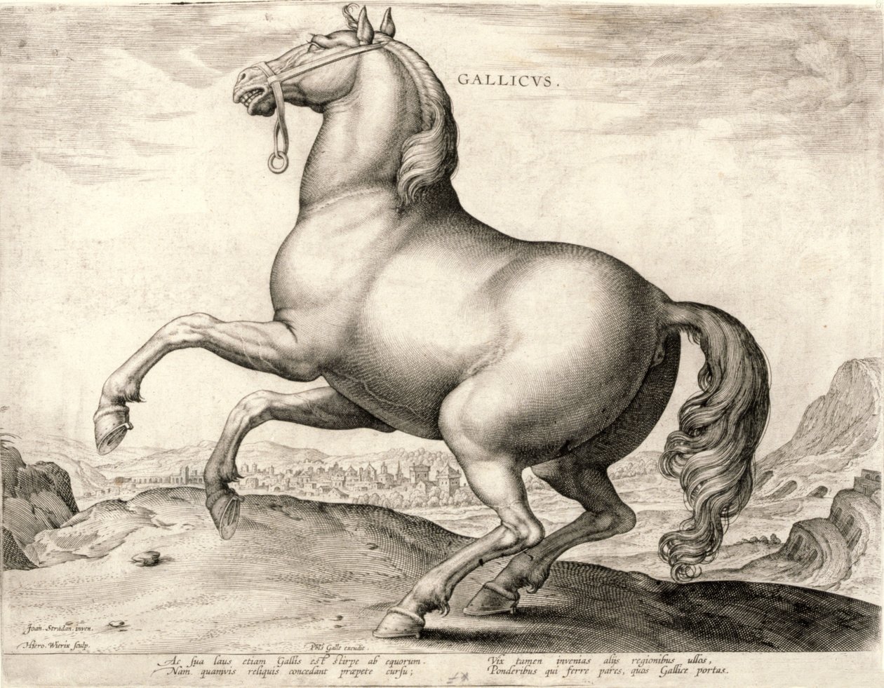 Avusturya
