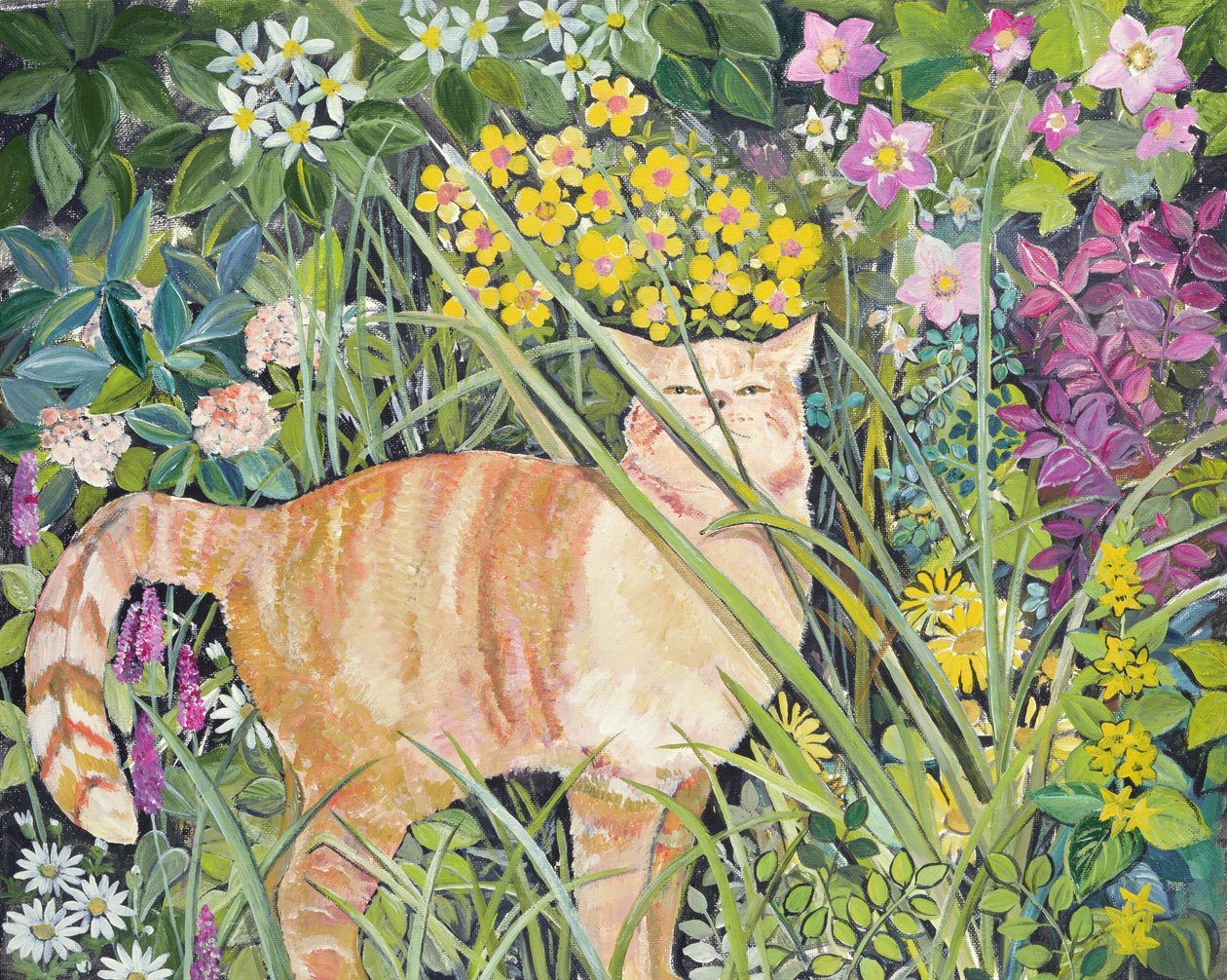 Kedi ve Uzun Çim, 1996 by Hilary Jones