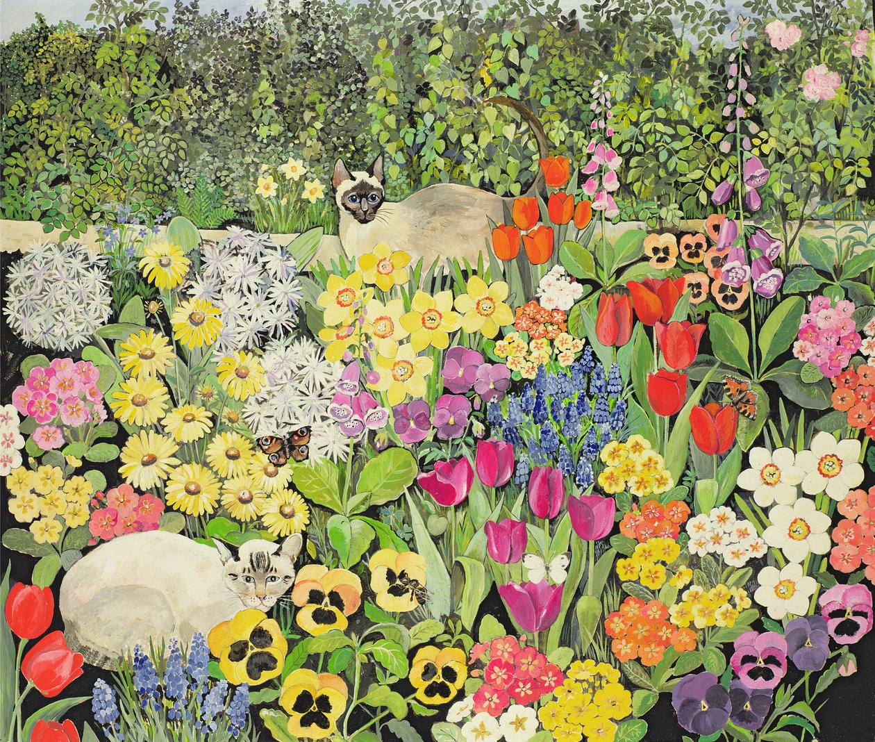 Bahar Kedileri by Hilary Jones
