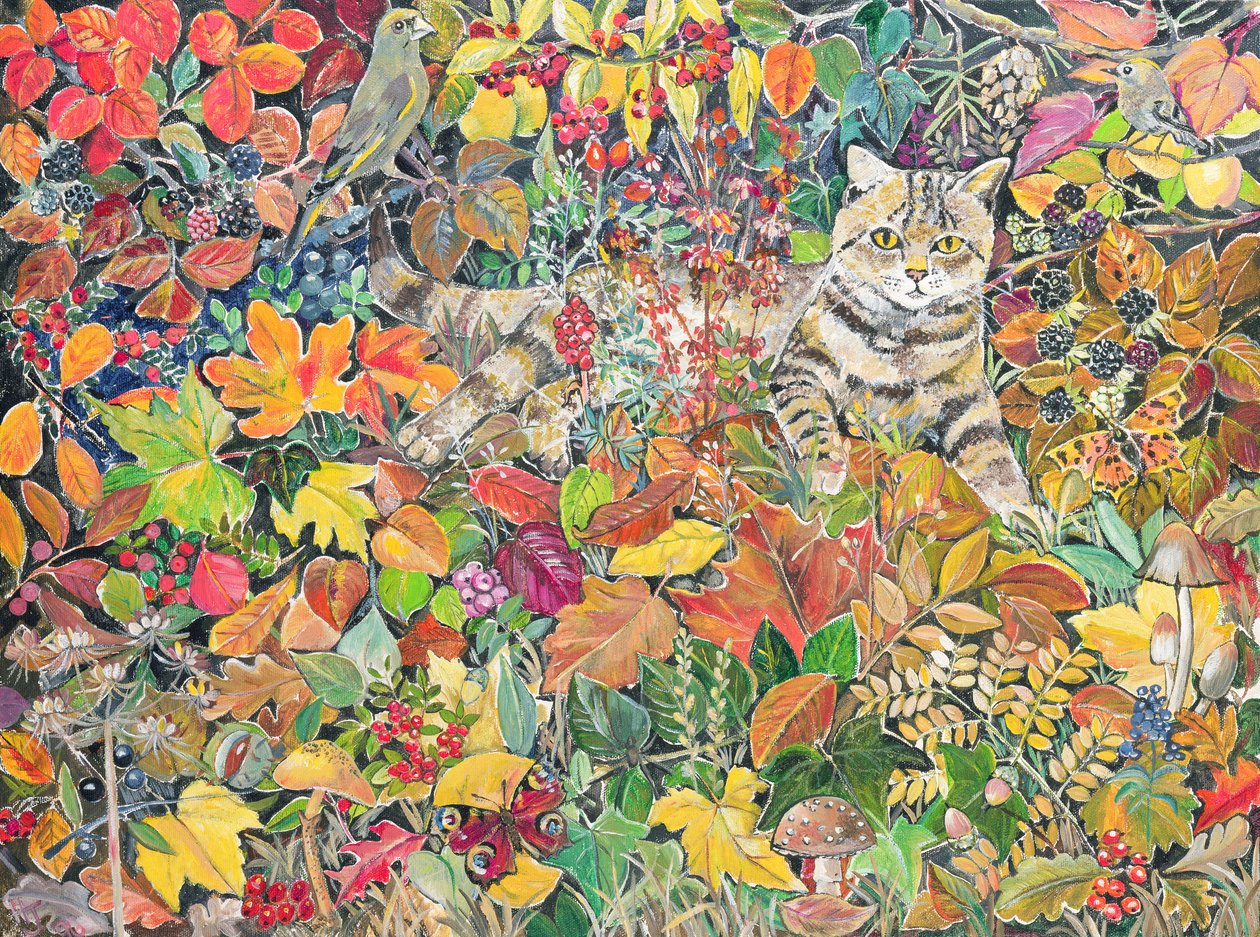 Sonbaharda Tekir, 1996 by Hilary Jones